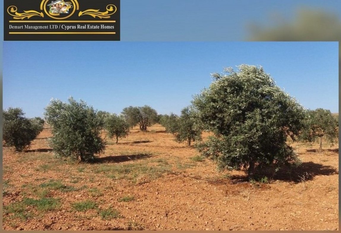 41,146m2 Land For Sale Location Near Sinirustu Iskele (5minutes drive to long beach)(Turkish Title Deeds) North Cyprus KKTC TRNC