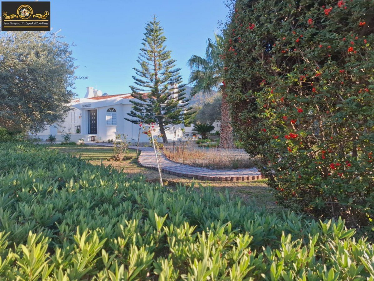 Nice 4 Bedroom Villa For Rent Location Ozankoy Girne North Cyprus KKTC TRNC
