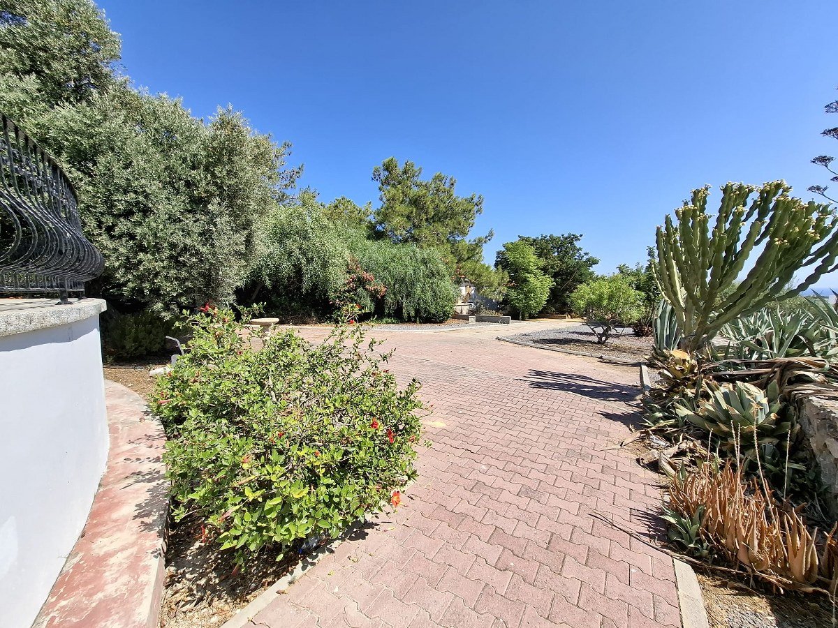 56 3 Bedroom Villa For Rent With A Stunning Collection Of Antique And Authentic Cypriot Furniture needs to be seen to be appreciated. Location: Alsancak, Girne. (Don’t pass this one by- reduced price!)