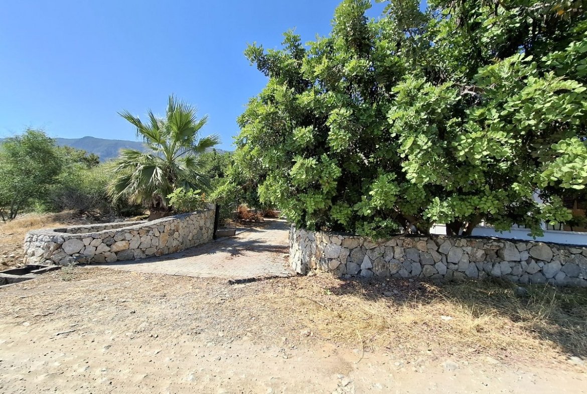 3 Bedroom Villa For Rent With A Stunning Collection Of Antique And Authentic Cypriot Furniture needs to be seen to be appreciated. Location: Alsancak, Girne. (Don’t pass this one by- reduced price!)